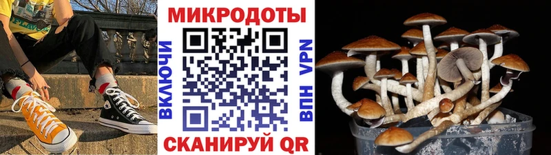Галлюциногенные грибы MAGIC MUSHROOMS  Северодвинск 